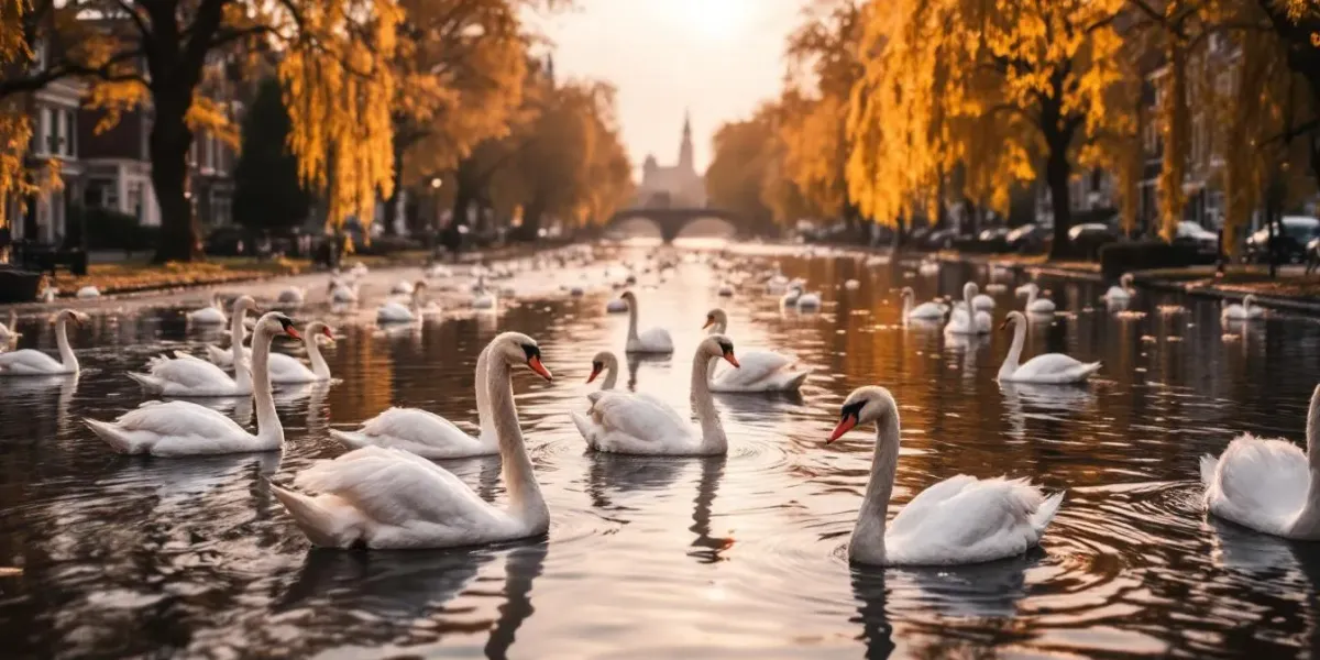 Film production in Bruges